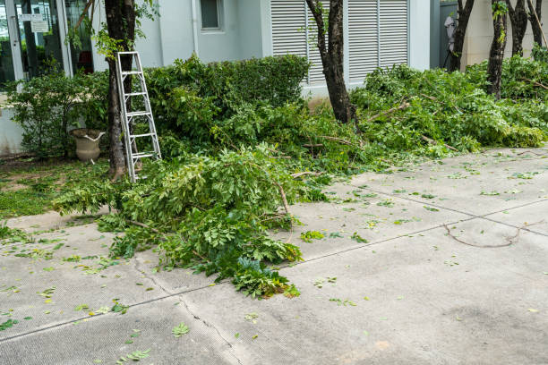 Best Organic Lawn Care Solutions  in Syracuse, IN