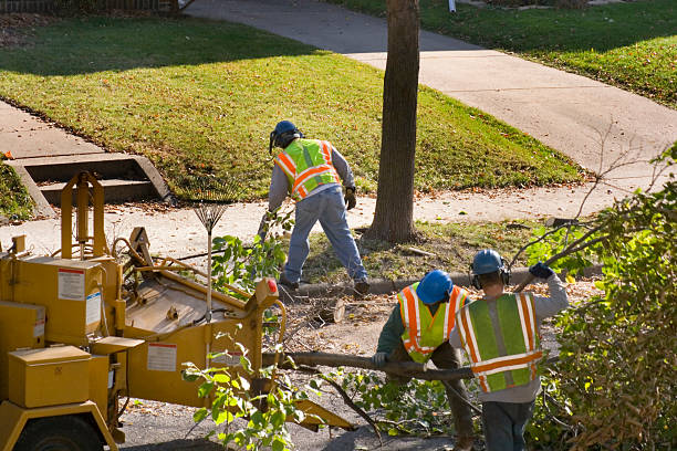 Best Weed Control  in Syracuse, IN