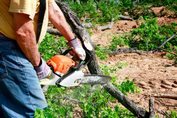 Best Soil Testing and Treatment  in Syracuse, IN